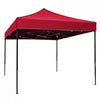 Cort de gradina tip Pavilion, 3 x 3m, Pliabil, cadru metalic